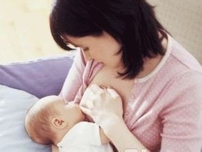 番薯叶是蔬菜中的战斗机