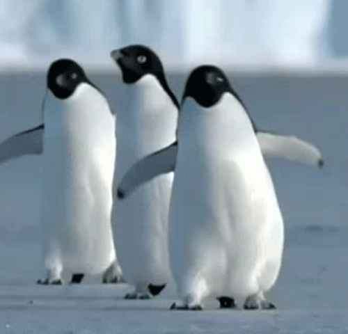 怎样能有效地减肥