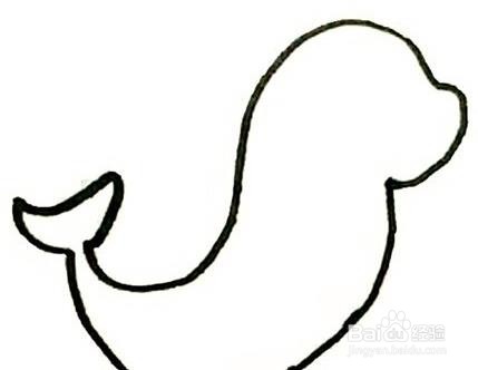 海豹的简单画法步骤