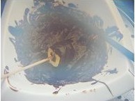 巧克力香蕉椰蓉球