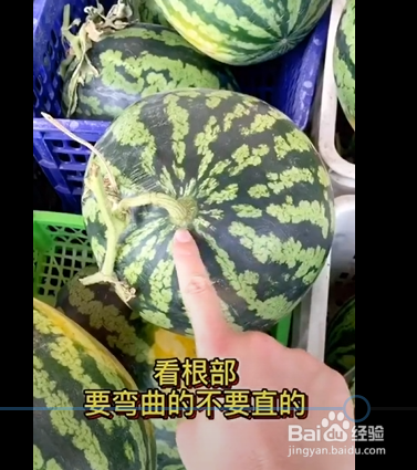 挑选西瓜的小妙招