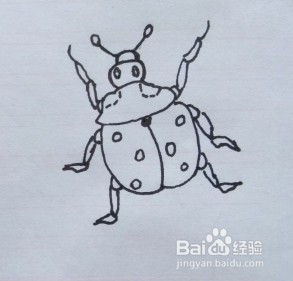瓢虫怎么画？