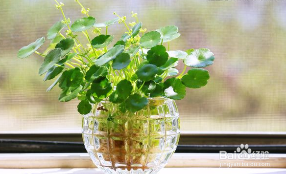 儿童居家安全知识?