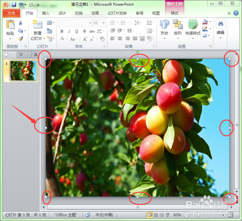 如何裁剪幻灯片中的图片