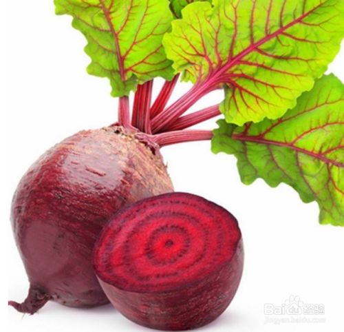 甜菜根的功效和禁忌 百度经验