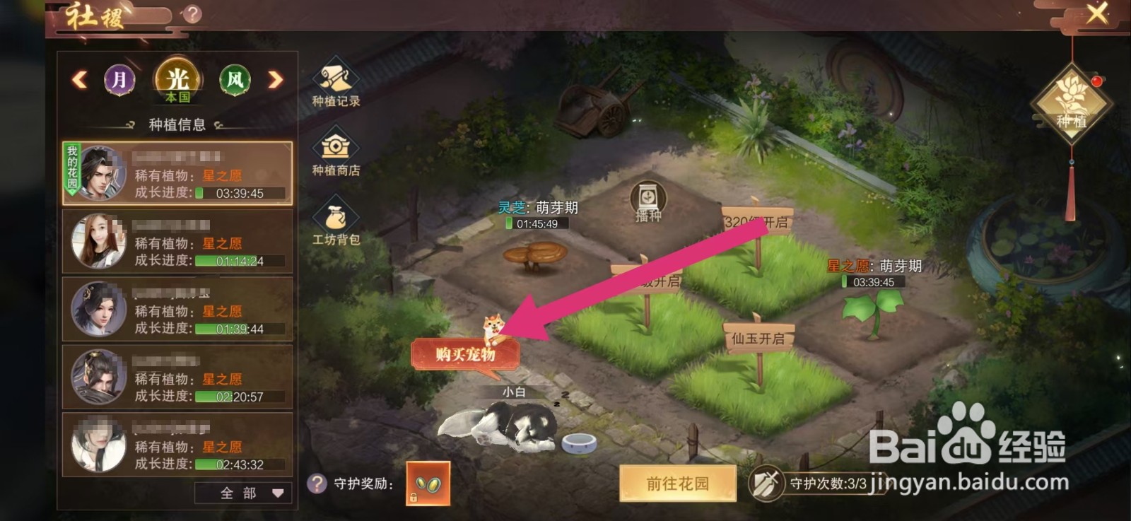 剑御天下如何购买【宠物】