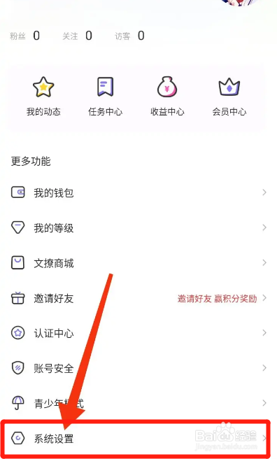 文撩APP如何隐身访问他人主页