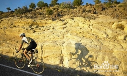 怎样选择骑行手套