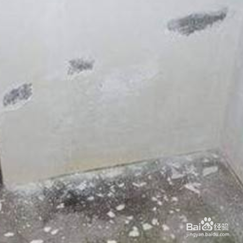 卧室墙面渗水发霉怎么处理