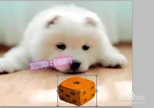 ps怎么把一张图上的图案抠出来放在另一张图上