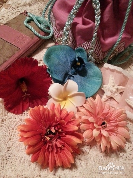 几天几夜的三亚热带之行。