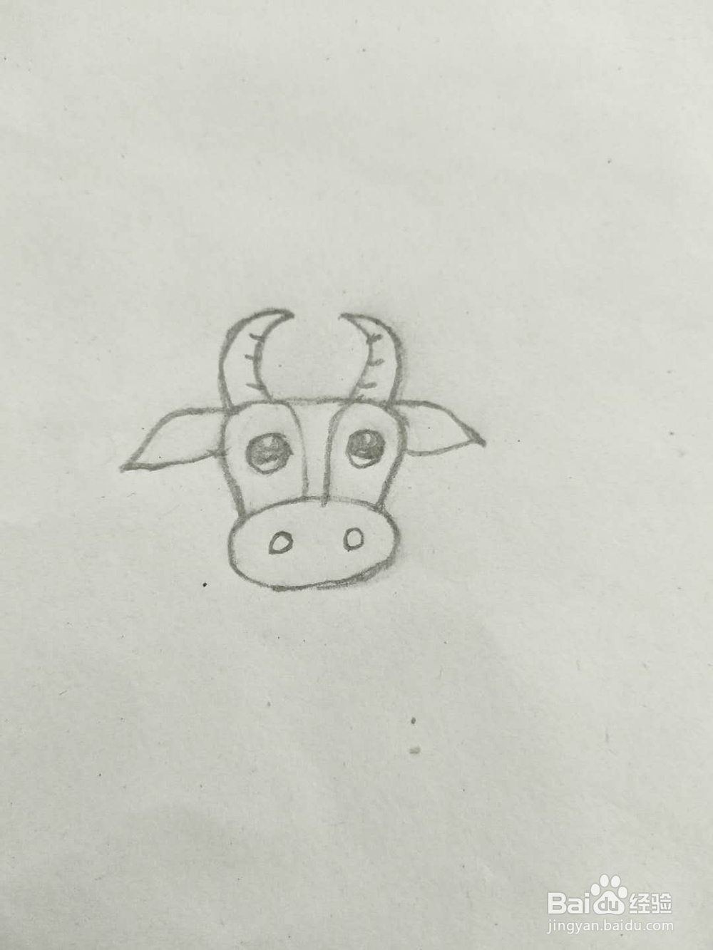 简笔画牛怎么画呢