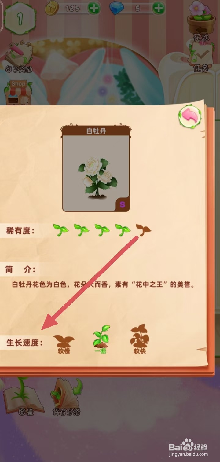 花花姑娘之魔法花园怎么查看白牡丹的生长速度