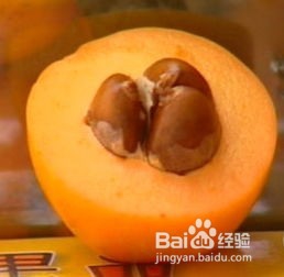 枇杷有什么功效？春季吃枇杷的好处