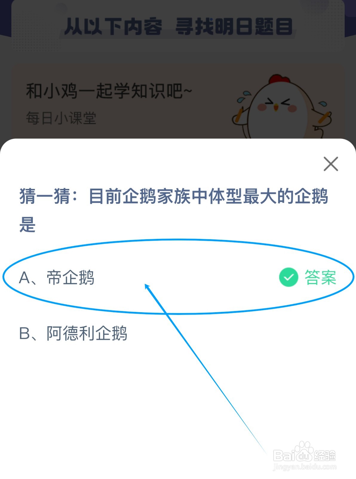 目前企鹅家族中体型最大的企鹅是？蚂蚁庄园
