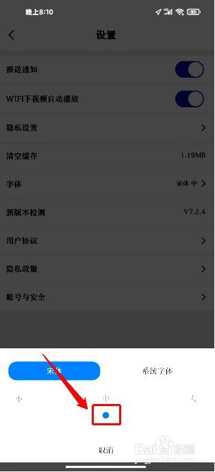 红星新闻app如何修改文章字体的大小
