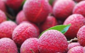 教您挑选新鲜的荔枝.