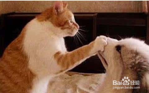 如何走出失恋的悲伤情绪