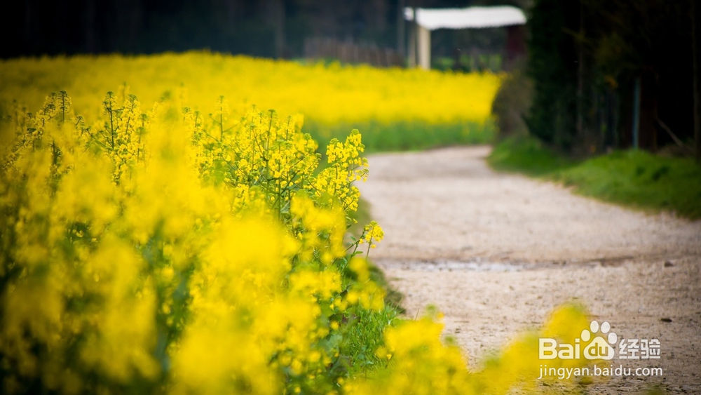 萌新怎样做好自媒体经营