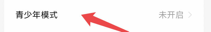 怎样才能开启番茄小说的青少年模式？