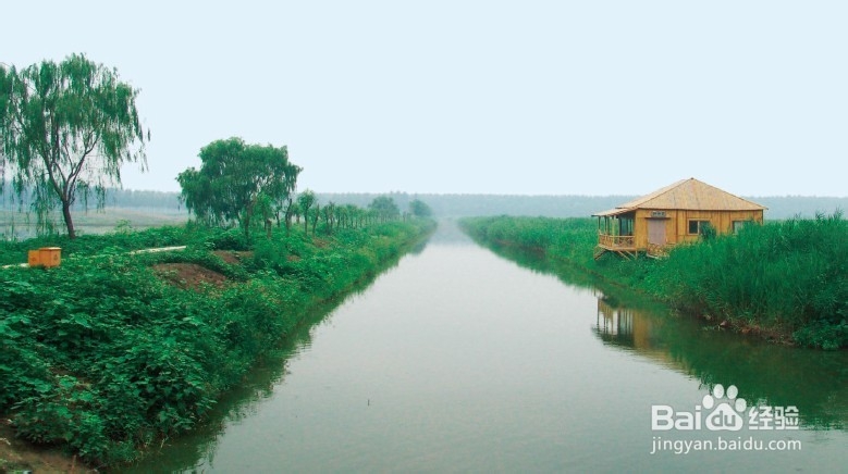空气净化器选购小窍门