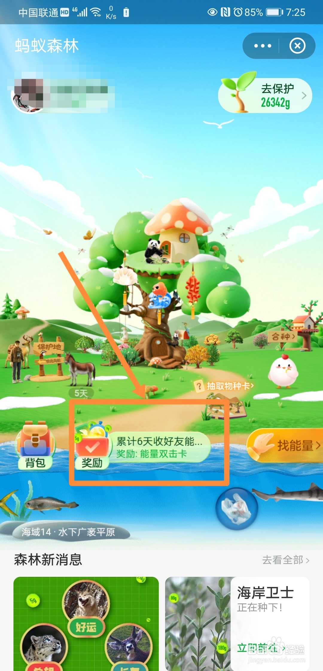 在支付宝里怎么开启天天能量雨
