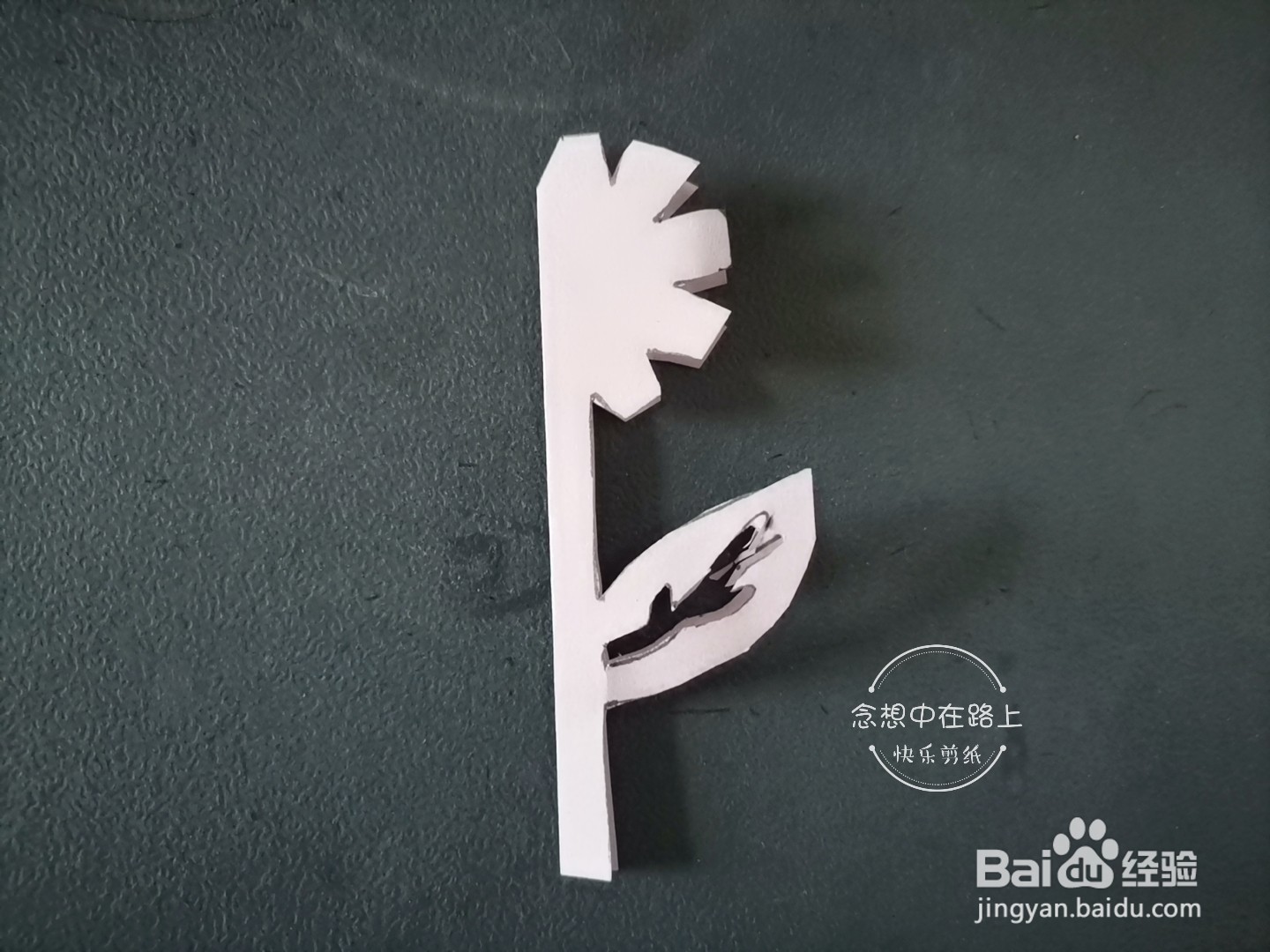 如何用彩色纸剪出野菊花纹样