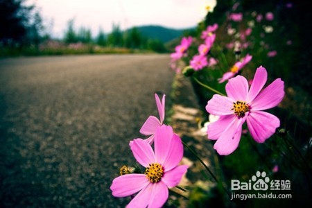 同情绝对不是爱情！