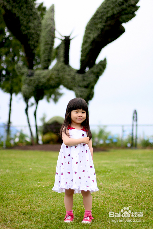 温哥华夜幕下的玫瑰园(组图)