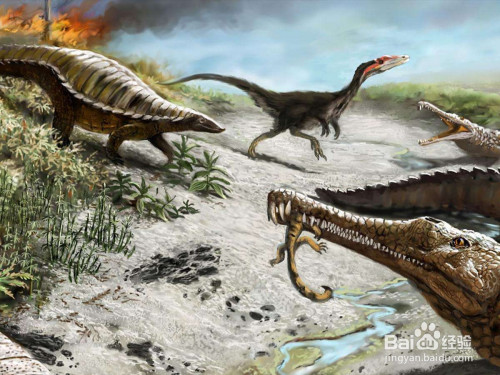 中生代的爬行动物怎样游泳