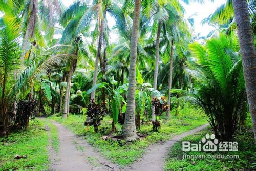 海南椰岛东郊小镇游记