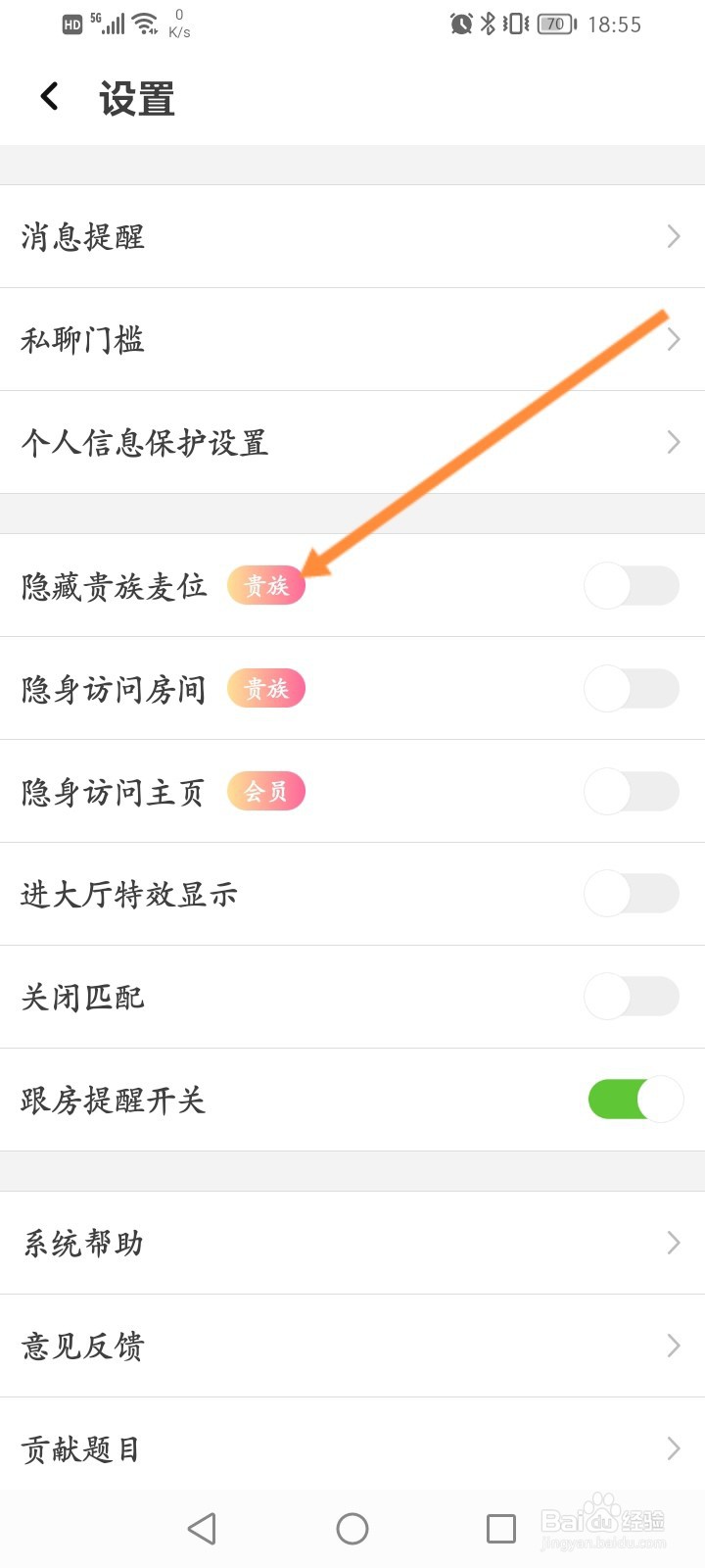 虚拟恋人怎么开启隐藏贵族麦位功能