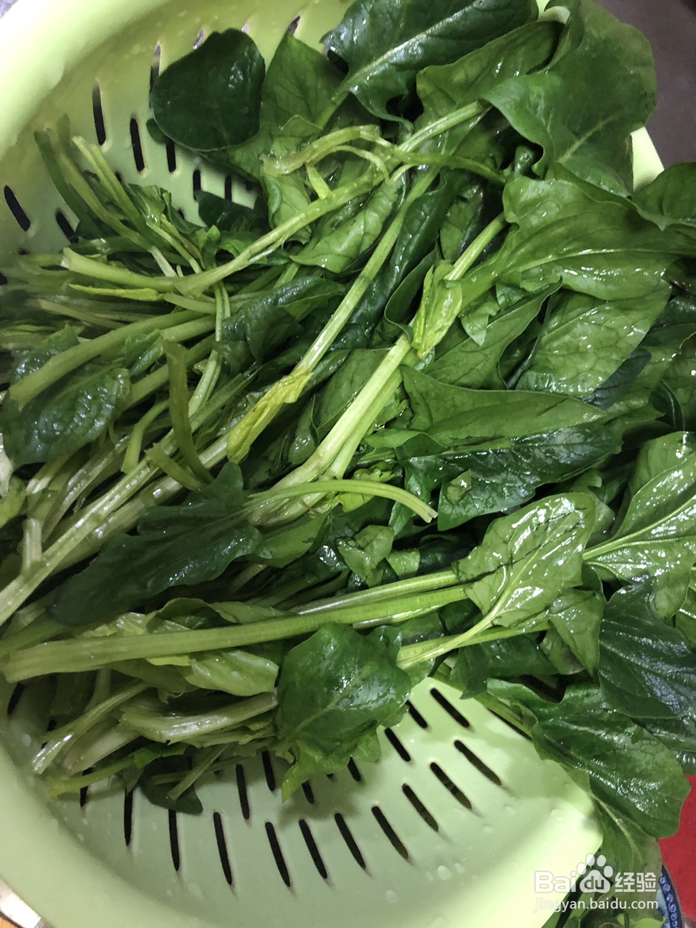 超级过瘾的凉拌菠菜