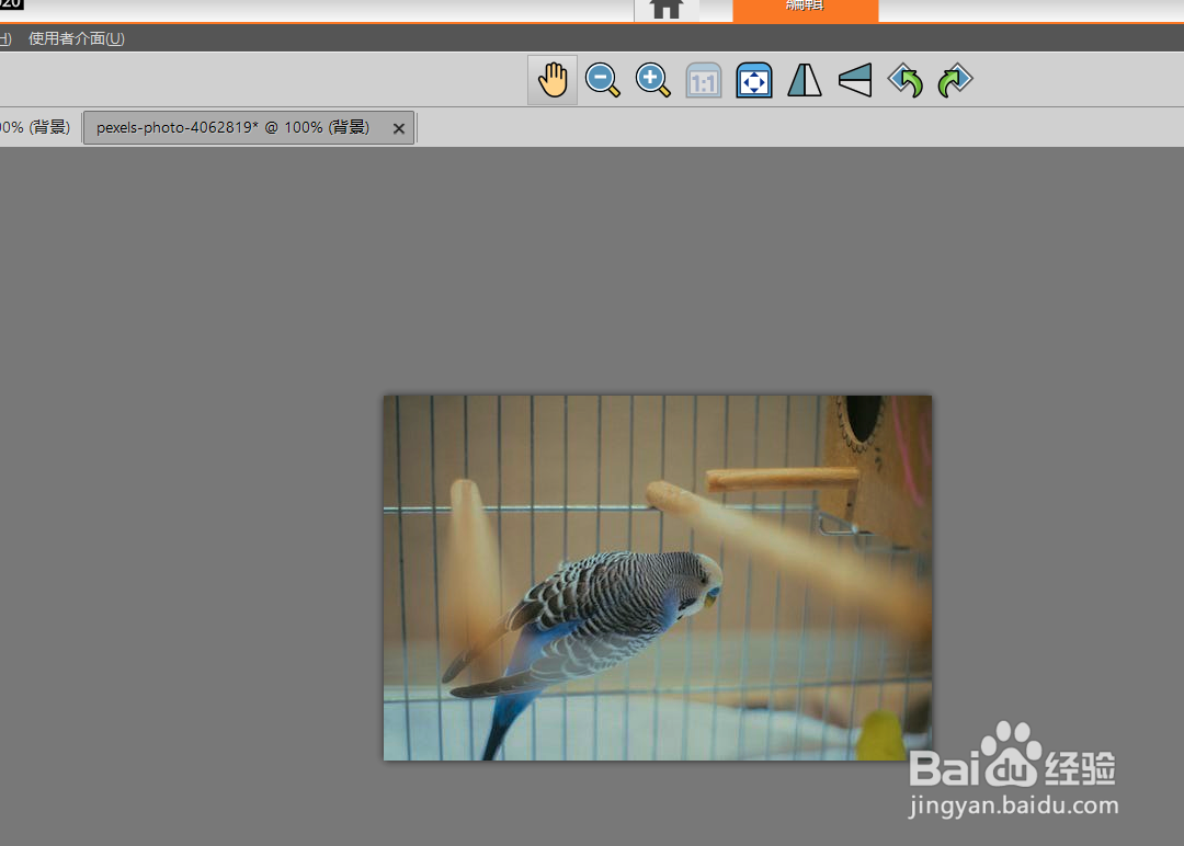 如何用paintshop将图片做成背光效果