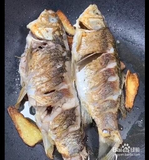 怎么用鲫鱼煮出白色的汤