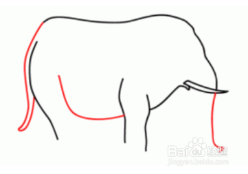 简笔画—如何画一只大象