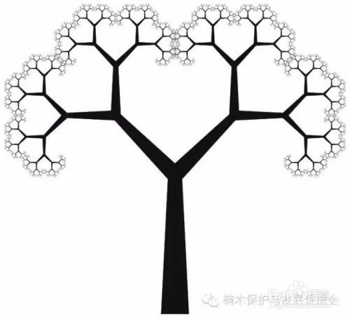 刻意练习:如何成为所在行业的高手?