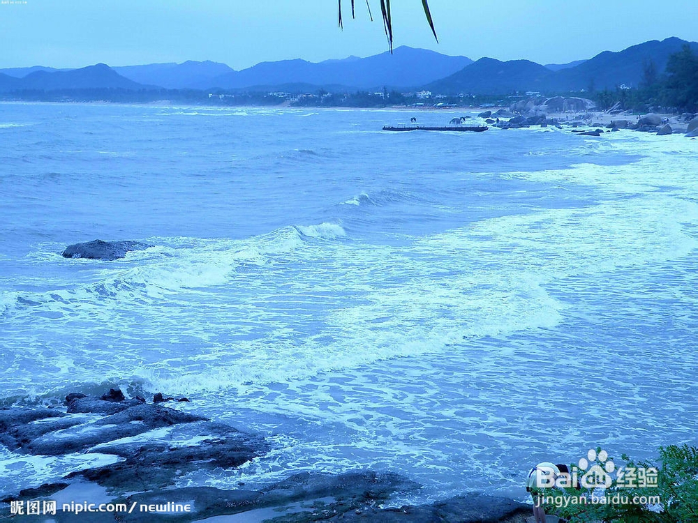 饮食文化素菜的做法