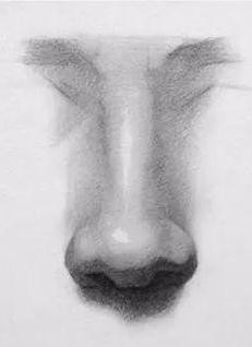 简单几步，轻松学习素描——如何画鼻子