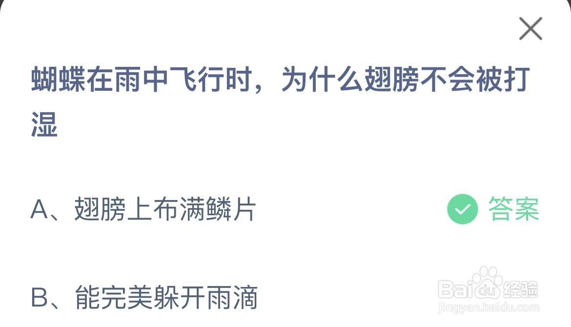 蚂蚁庄园答案蝴蝶在雨中飞行时为什么翅膀不会湿