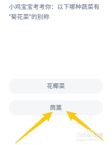 以下哪种蔬菜有“菊花菜