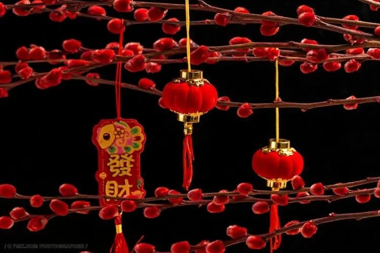 春节传统装饰活动有哪些