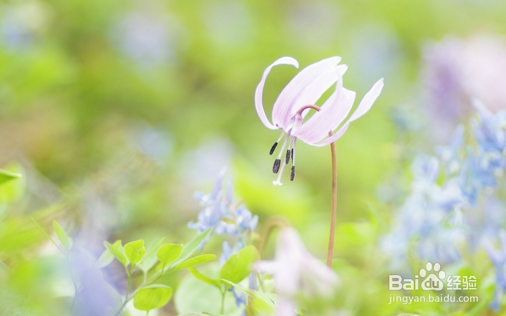 教你如何做个成功的人