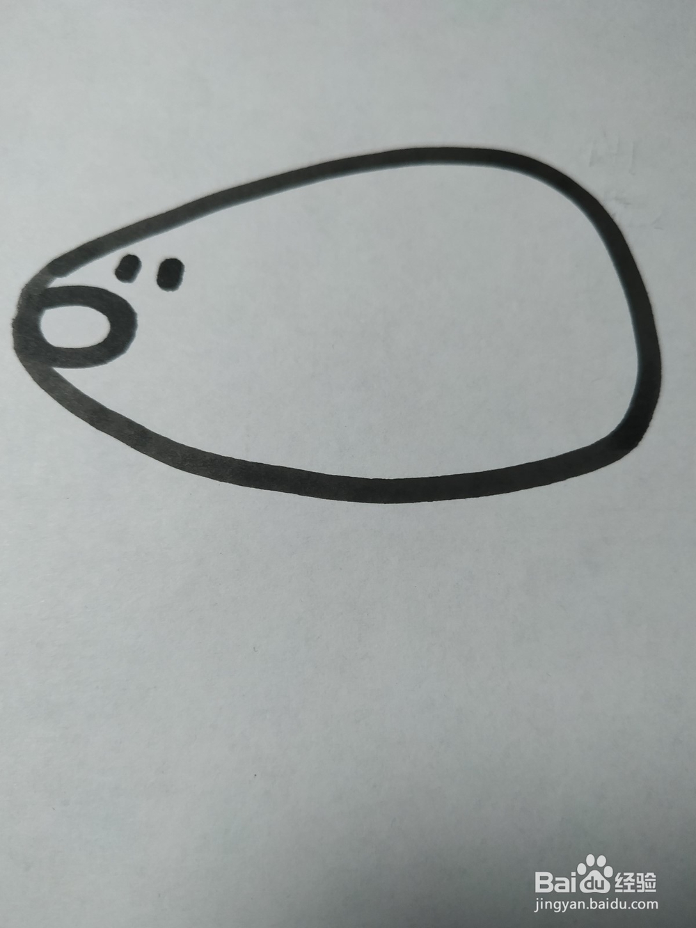 老鼠的简笔画技法37