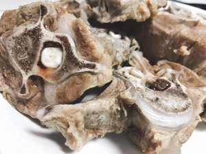 特色暖洋洋的羊蝎子煲