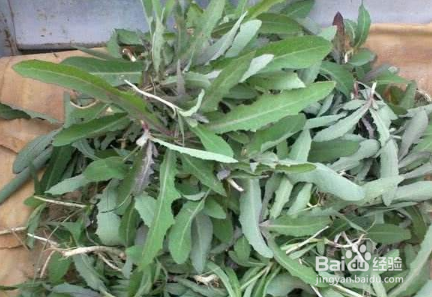 吃蔬菜有哪些要注意的问题？