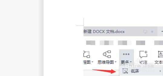 PPT怎么设置自定义区域截图