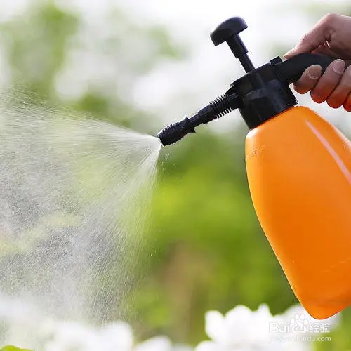 贴纸怎么撕掉不留痕迹