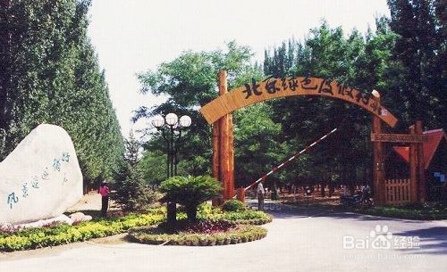 森鑫森林公园攻略