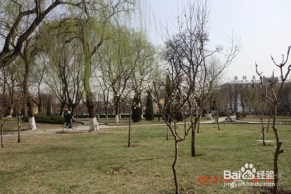 河北大学内部观光攻略